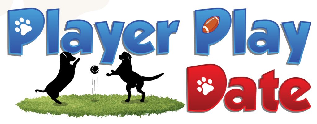 Player Play Date Logo - Dogs playing ball on green grass - bright red and blue graphics 1920x752