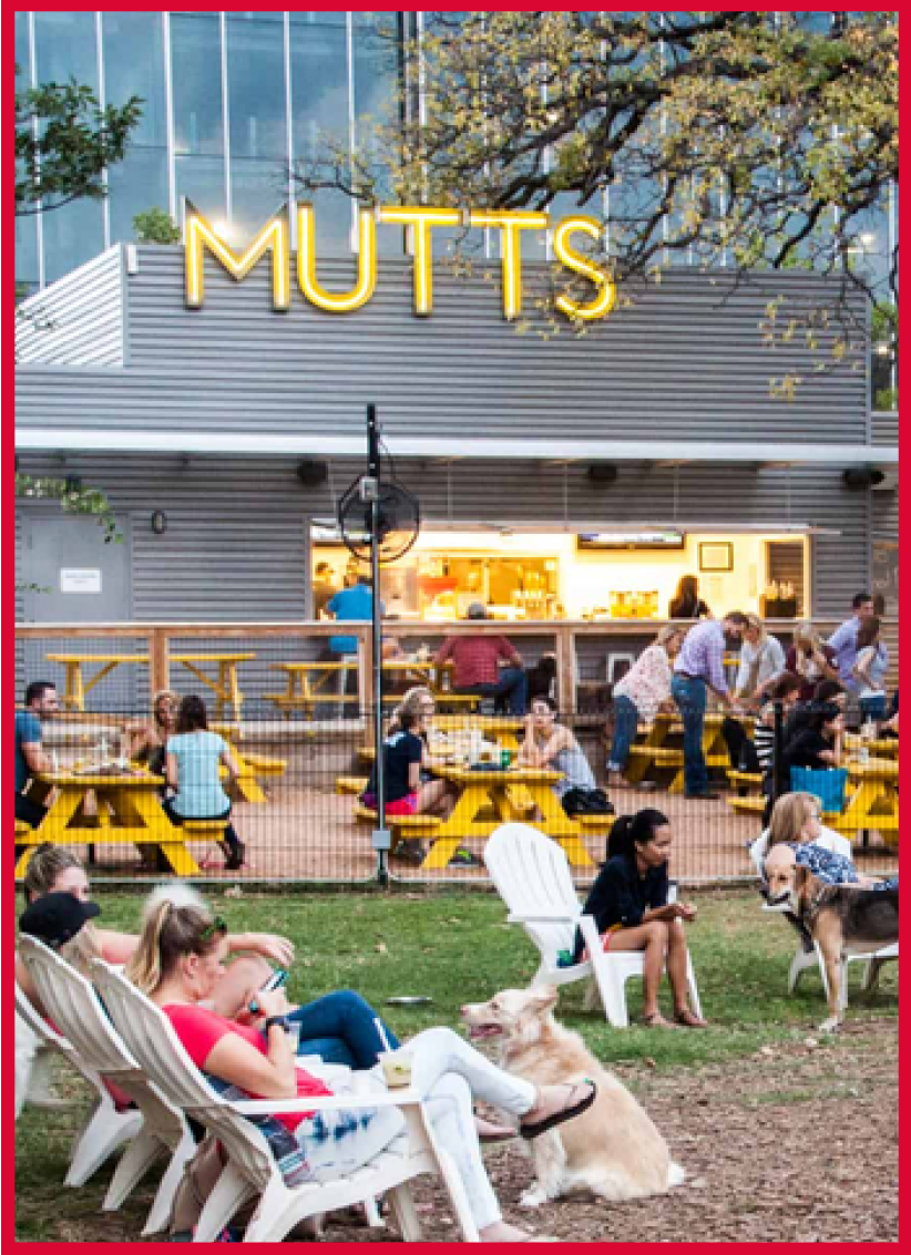 Player-Play-Date-Dallas-mutts