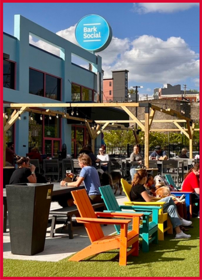 Player-Play-Date-Philadelphia-Bark-social